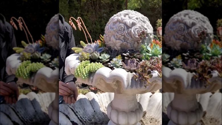 Video of a couple adding succulents to a fountain
