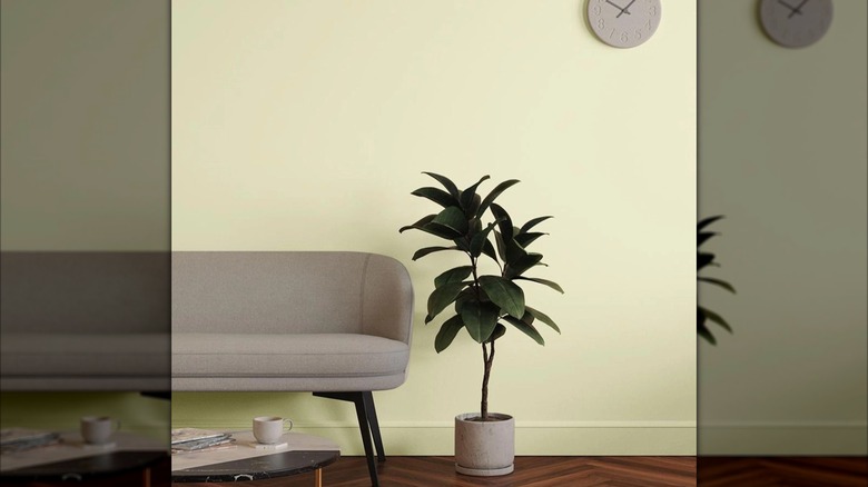 A living room space painted butter yellow