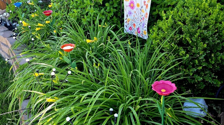 Mellbree bee watering stations placed among plants in a garden