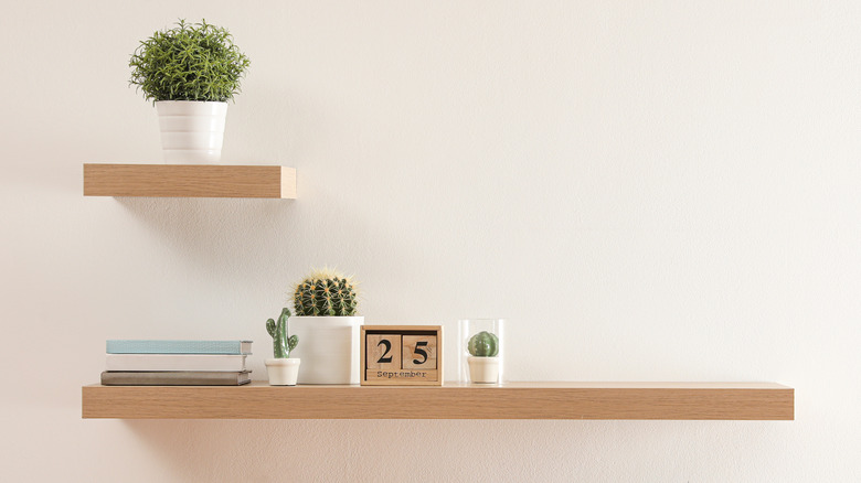 floating shelves holding plants