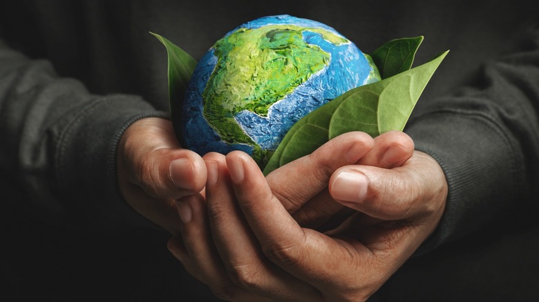 To hands holding small Earth globe