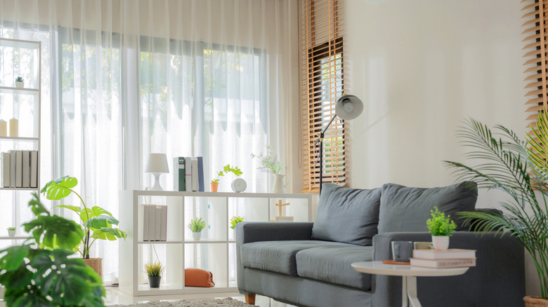 Curtains in a living room