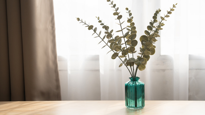 Eucalyptus in blue vase