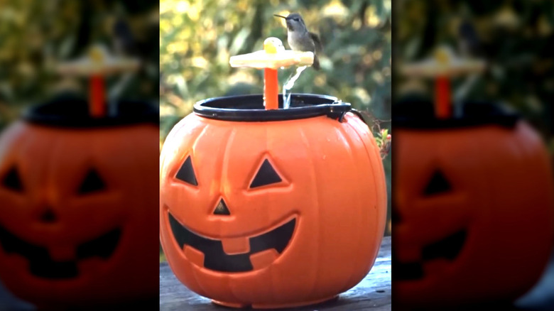 final look of DIY pumpkin bucket birdbath design