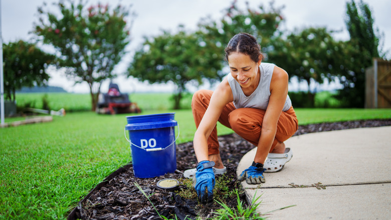 A woman using a 5-gallon bucket while pulling weeds