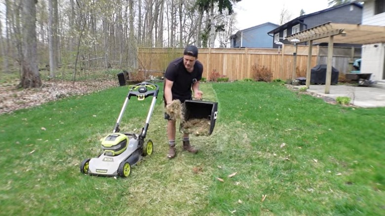 Person holding the thatch removed after dethatching the lawn