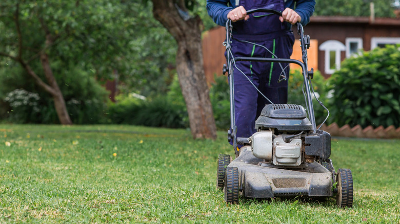 Person cutting grass with a lawnmower