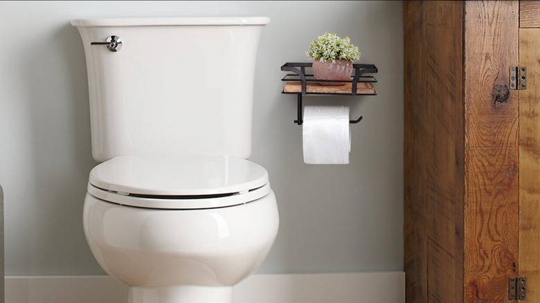 A bathroom scene shows a white toilet, dark brown cabinet, and a black metal toilet paper roll holder with a brown shelf holding a small potted plant.