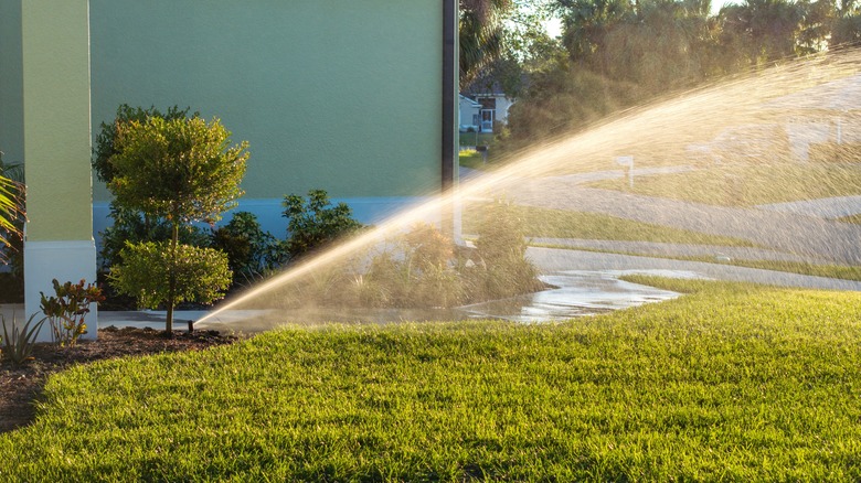 The front lawn of a house with an automatic sprinkler using copious amounts of water