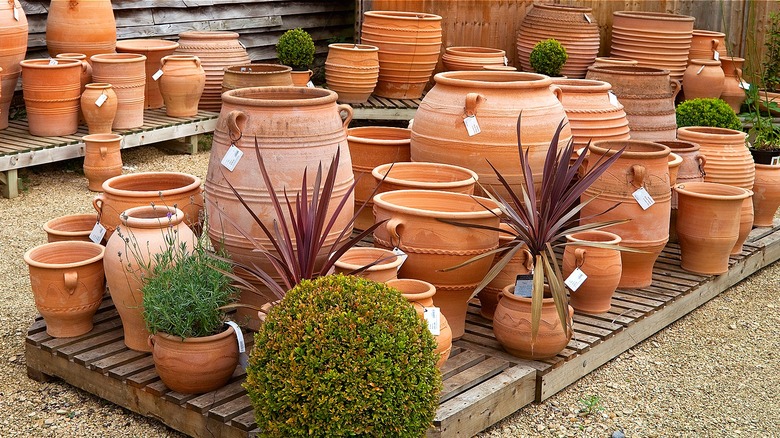Terracotta planters in outdoor market