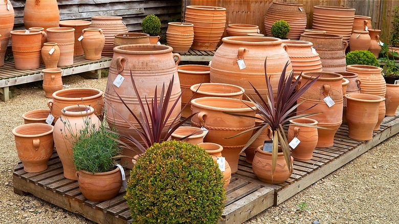 Terracotta Garden Pots Versus Sustainable Garden Materials