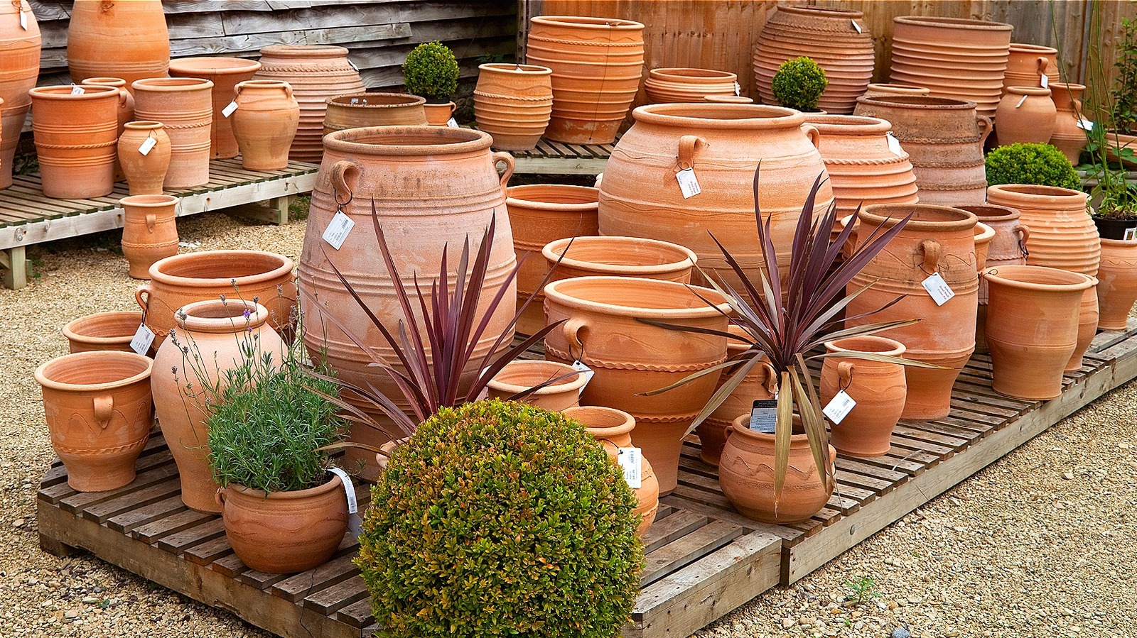 Clay pots for plants hotsell