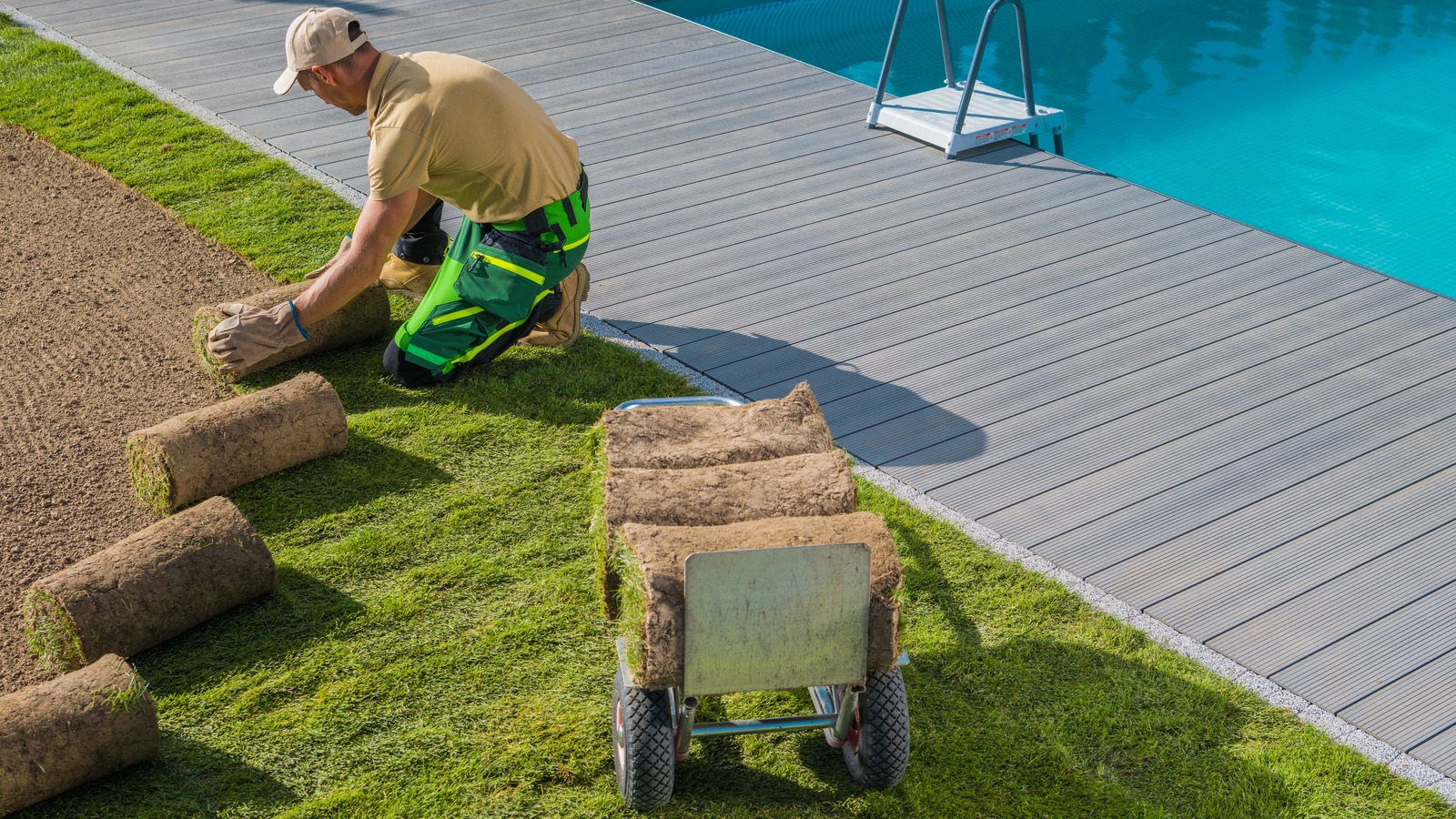 Synthetic Turf Vs Natural Grass Which Is Better For Your Lawn?