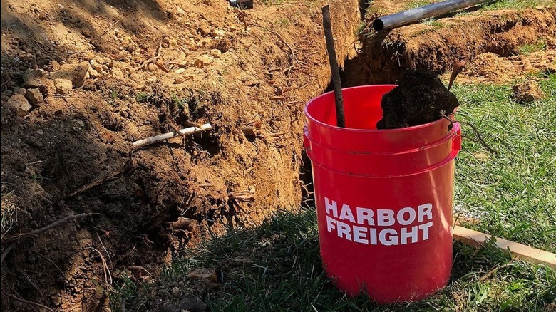 Red Harbor Freight bucket next to dirt