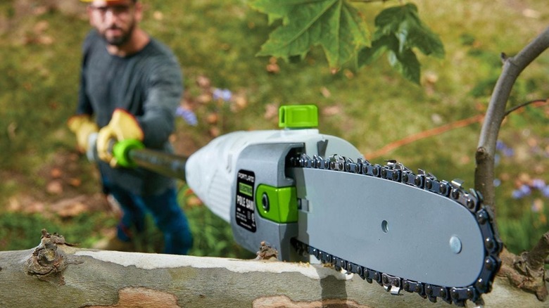 Man using Portland pole saw to cut tree branch