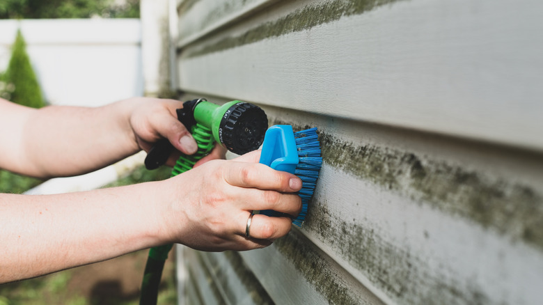 A person cleaning vinyl siding with a brush