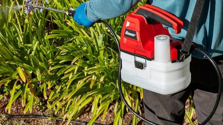 A person using the Bauer chemical sprayer from Harbor Freight
