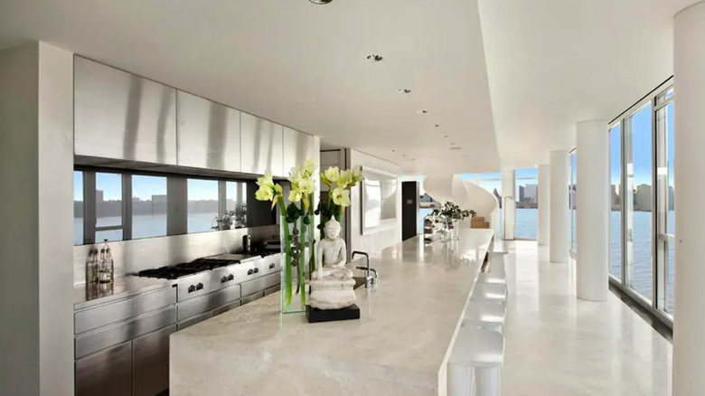 Modern Manhattan kitchen