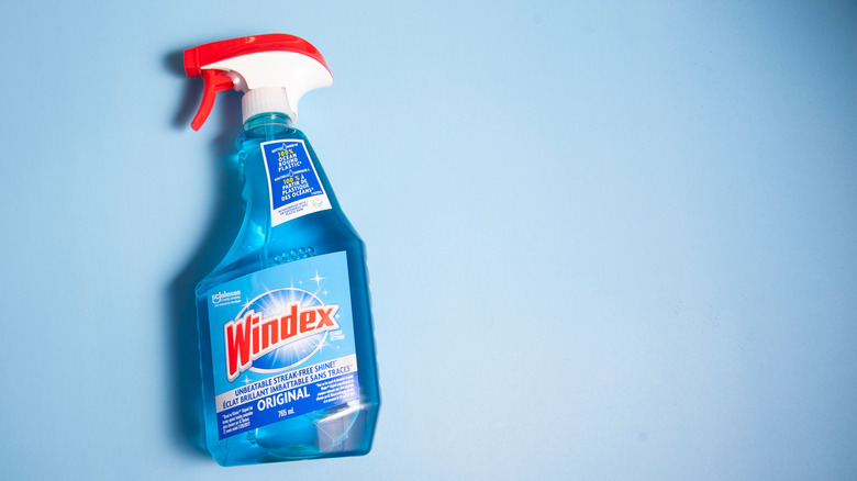 A close-up shot of a bottle of Windex.