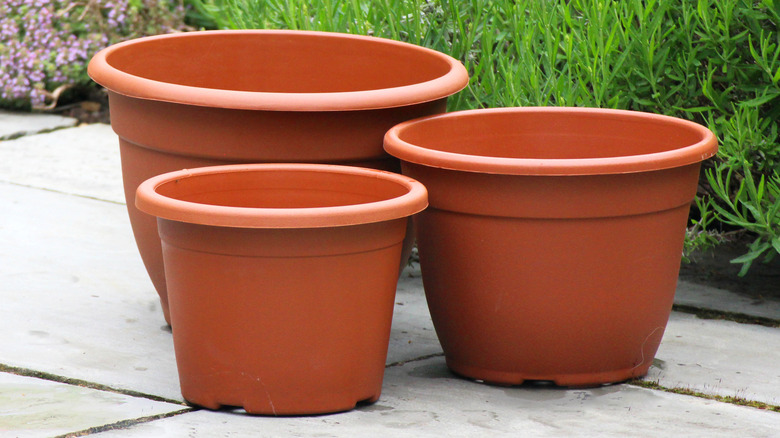 three planters in the garden