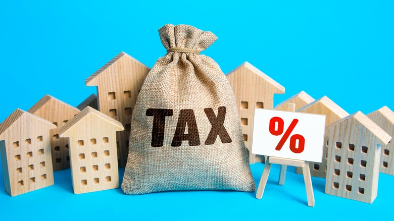 tax bag  and houses