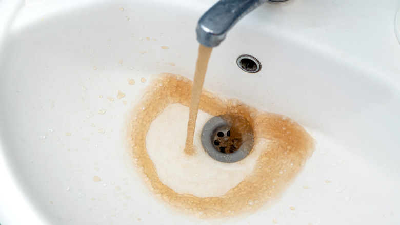 Rust colored water coming from sink faucet