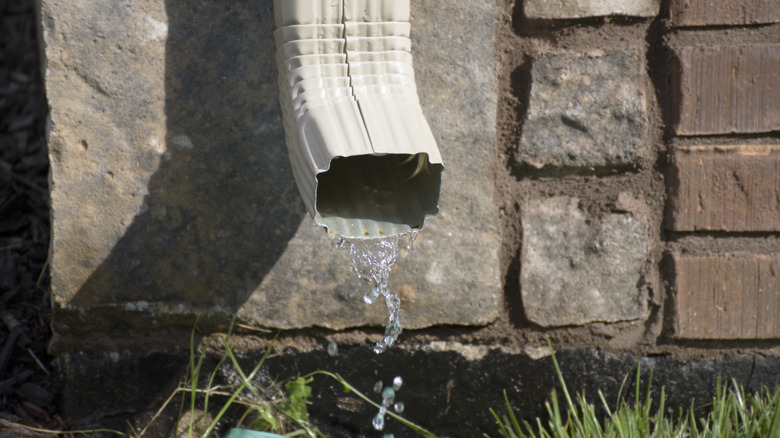 downspout trickling