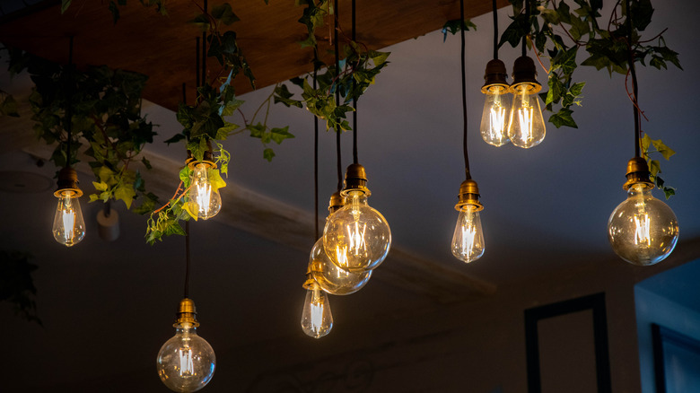 Edison bulbs hanging in a chandelier.