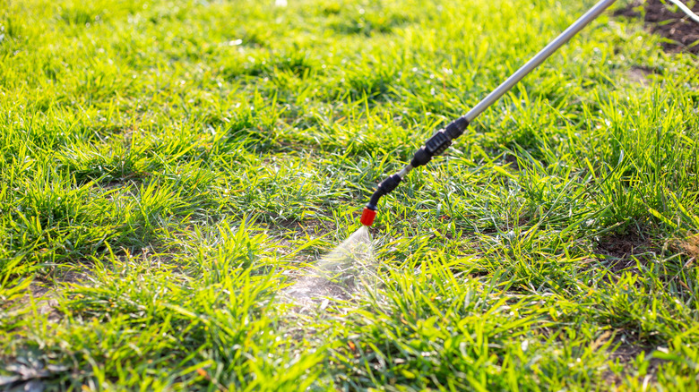 close up of a backyard herbicide sprayer