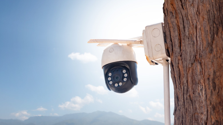 Security camera mounted on a wooden post outside