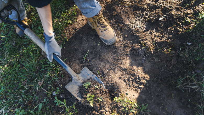 Person digging up grass to put down a landscape area