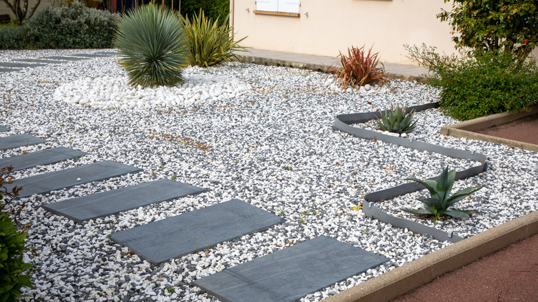 Landscaped area covered in gravel with stepping stones and plants