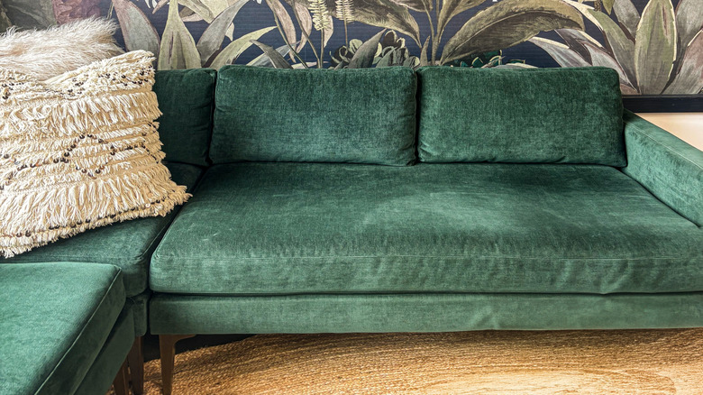 A room with a jungle theme including wallpaper, plants, and a green velvet couch