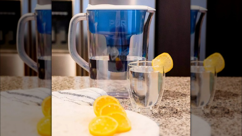 Pur water filter with lemons
