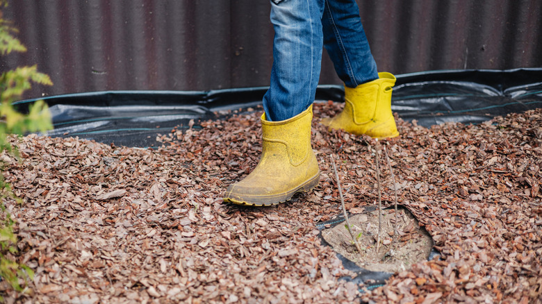 Gardener adding mulch to a garden