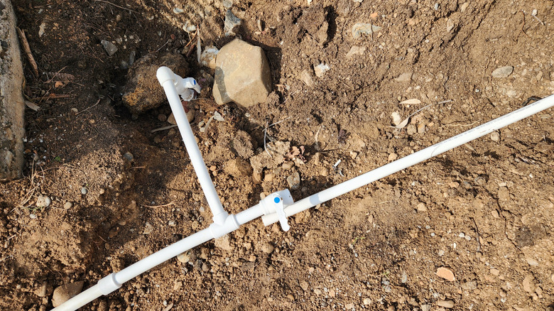 Drip line with emitter ready to water the garden