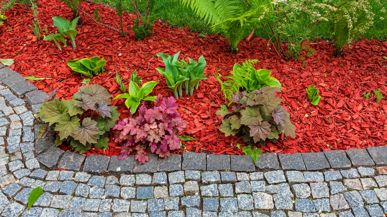 Flower border with mulch covering soaker hose
