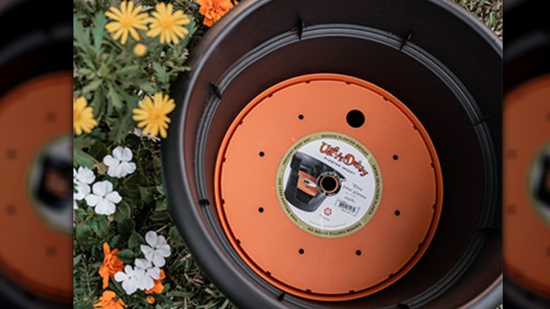 The Ups-A-Daisy pot insert
