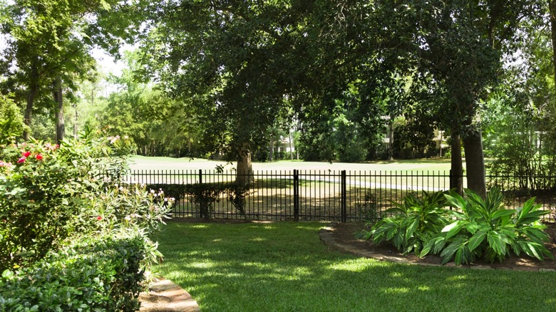 A garden with dappled sunlight shining through the trees.