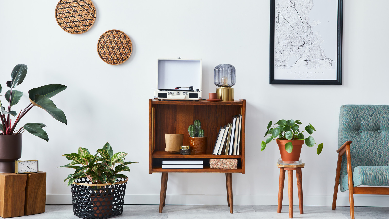 The 15 Best Plants You Should Have In Your Living Room, image size:1600x901