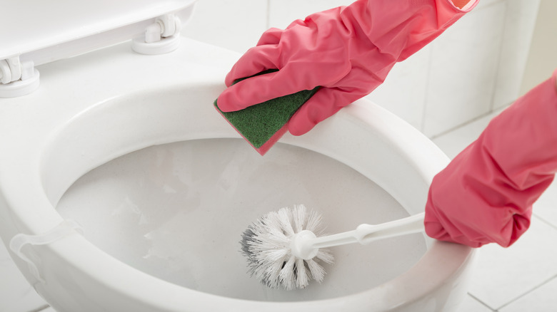 Person cleaning toilet bowl