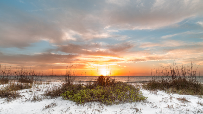 white sand beach at sunset