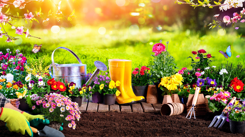 garden tools in sunlight