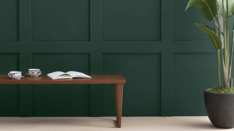 A bench and plant in front of a wall painted a deep green color