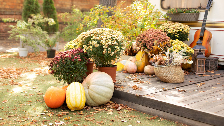 A fall display with flowers in pots on a porch