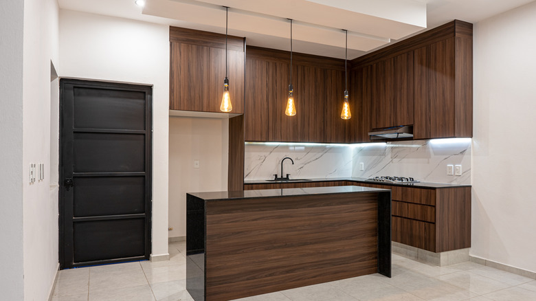 Modern kitchen with dark slab cabinet doors