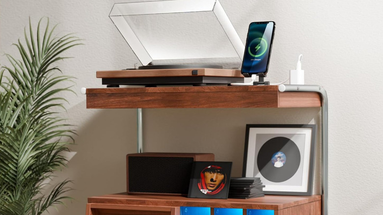 The top of the Loomie rolling vinyl cabinet next to a plant.