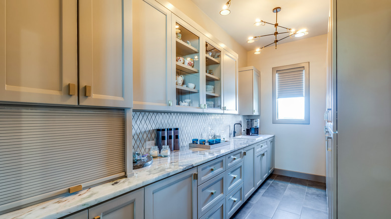small butler's pantry with countertop, storage, and sink