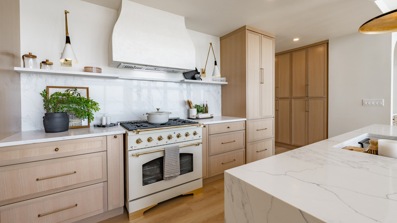 neutral modern kitchen design with fancy stove and marble center island