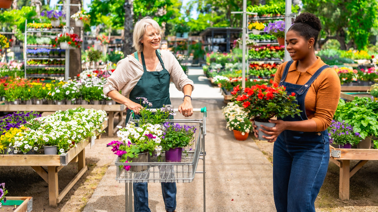 two women shopping for plants at a garden nursery